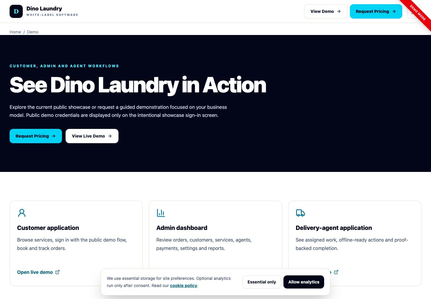 Dino Laundry landing page (desktop)