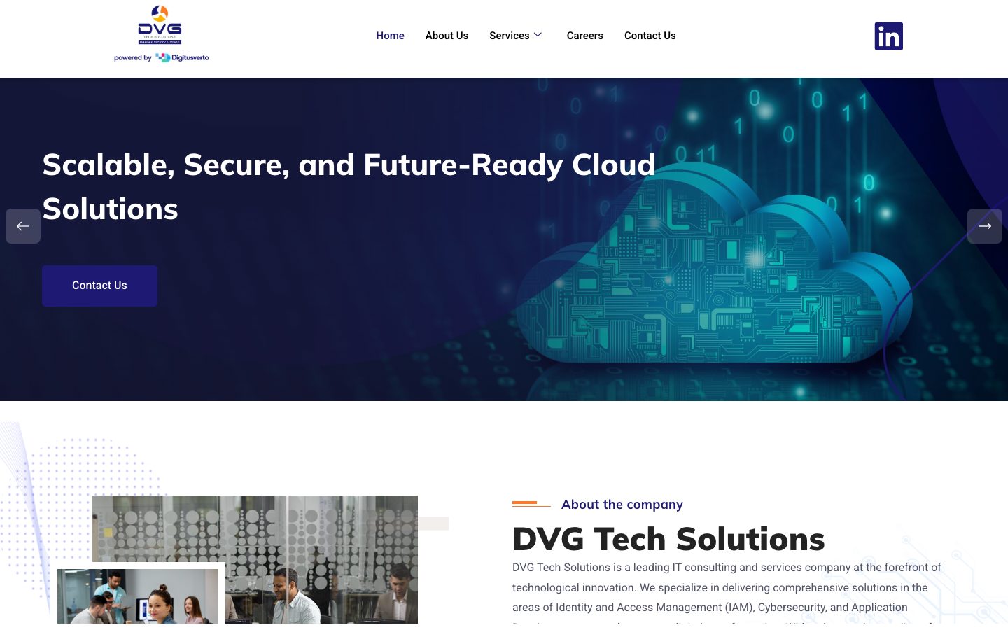 DV GTS — Business / Corporate Website WordPress website homepage screenshot